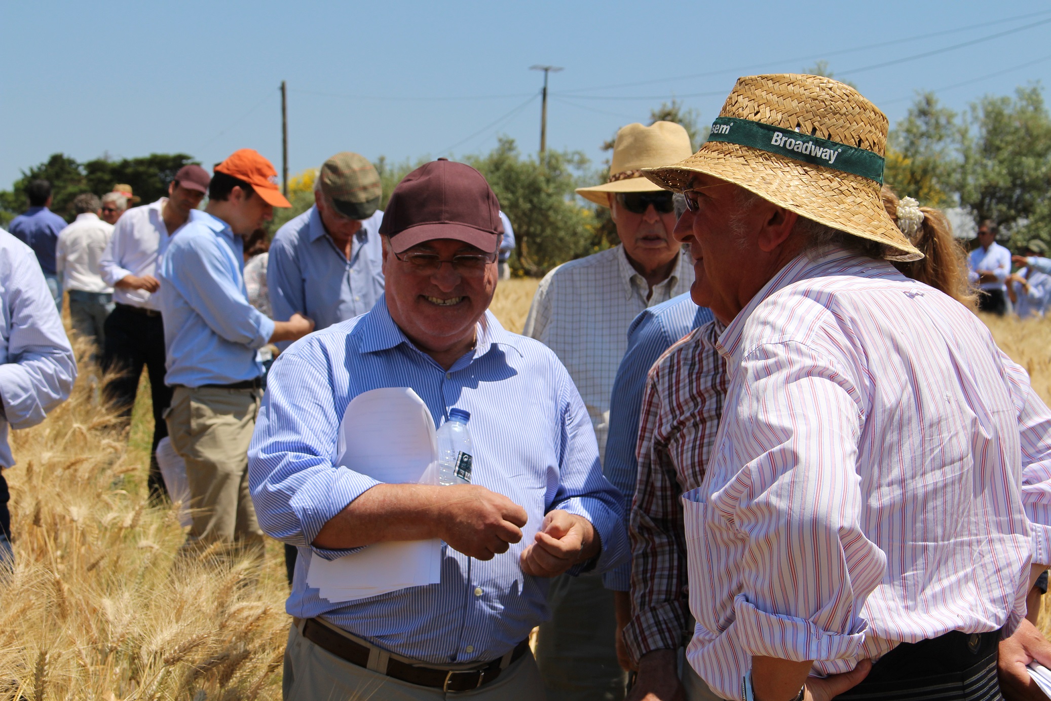 Ministro da Agricultura reconhece potencial de Portugal para aumentar produção de cereais de qualidade